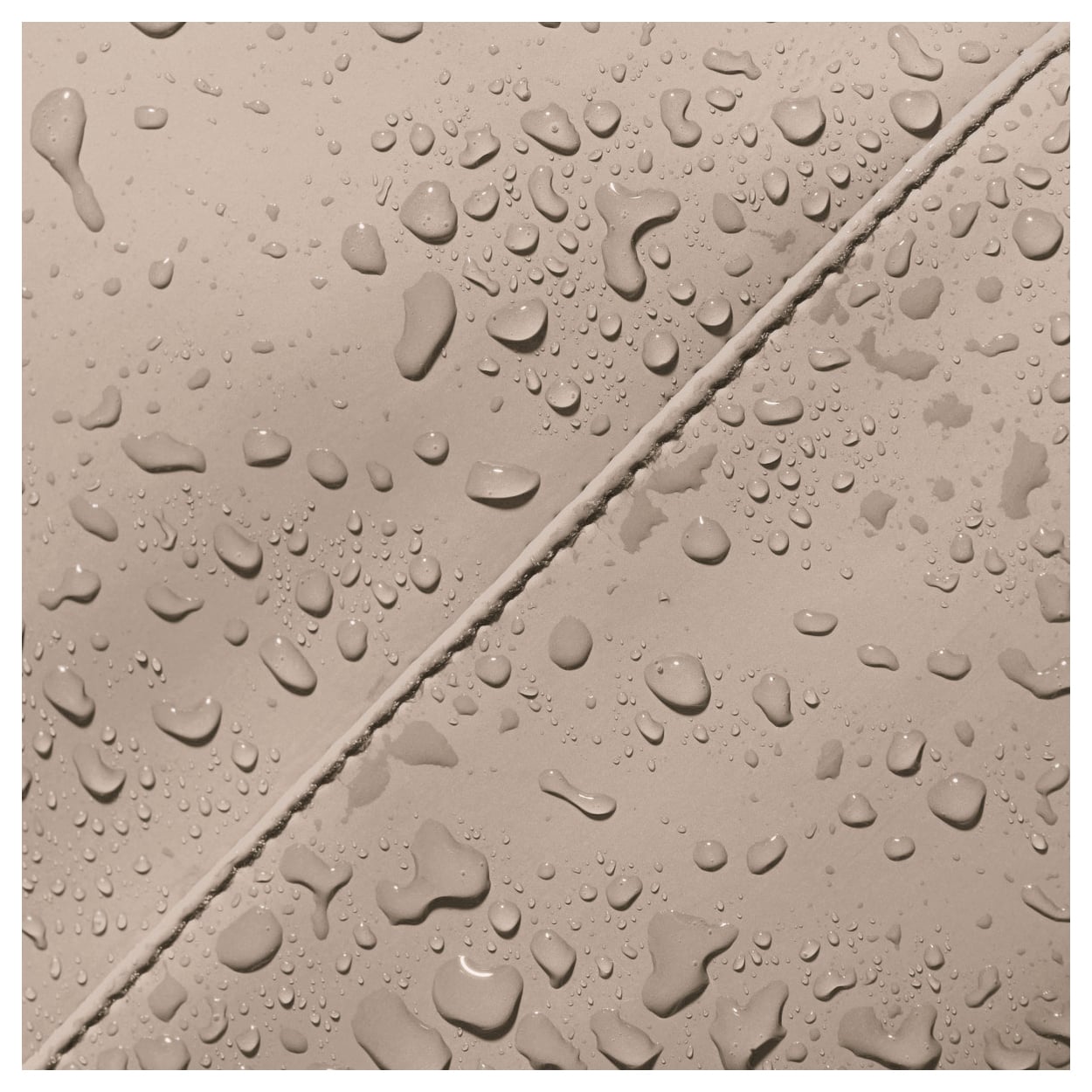 3645600480-09