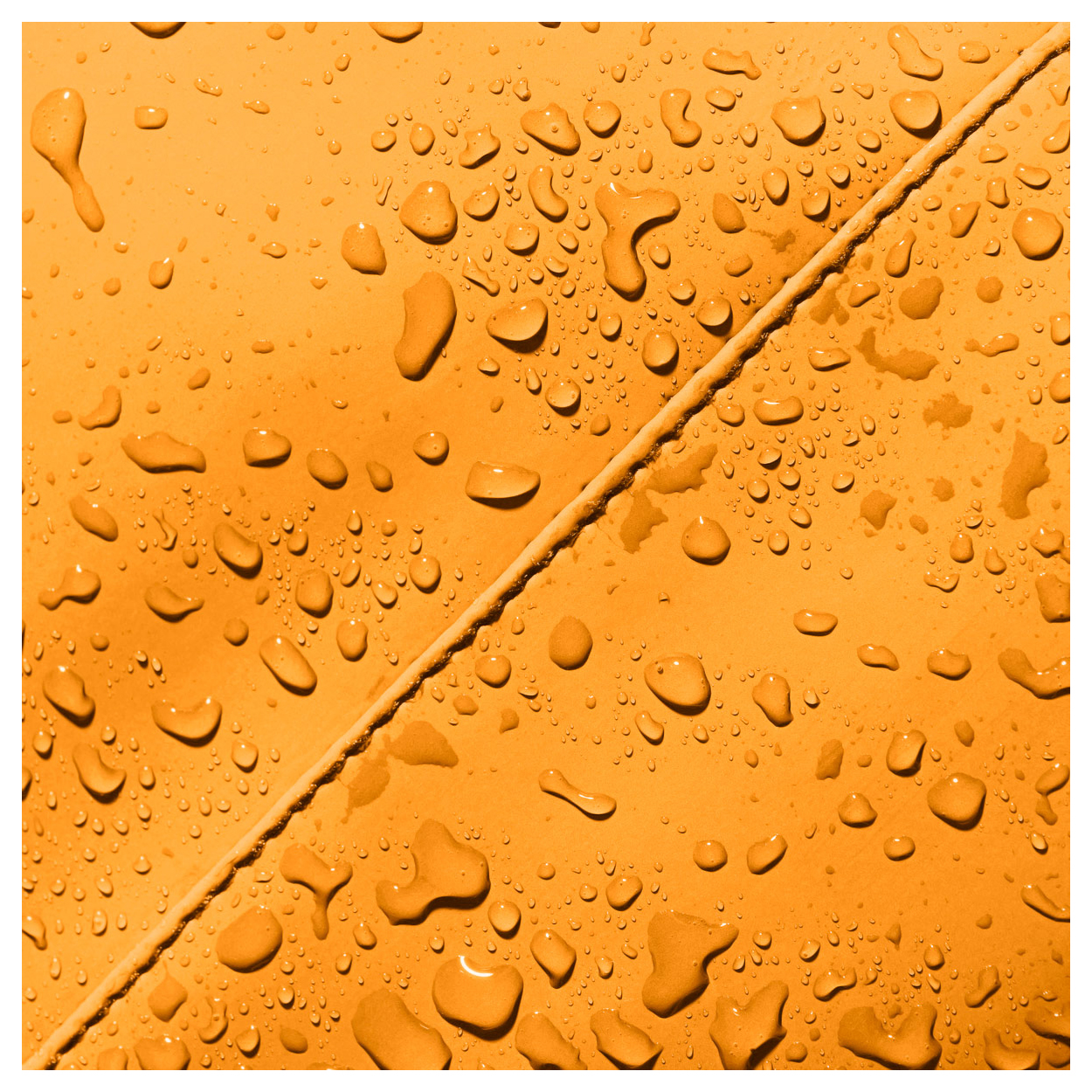 3647500140-10