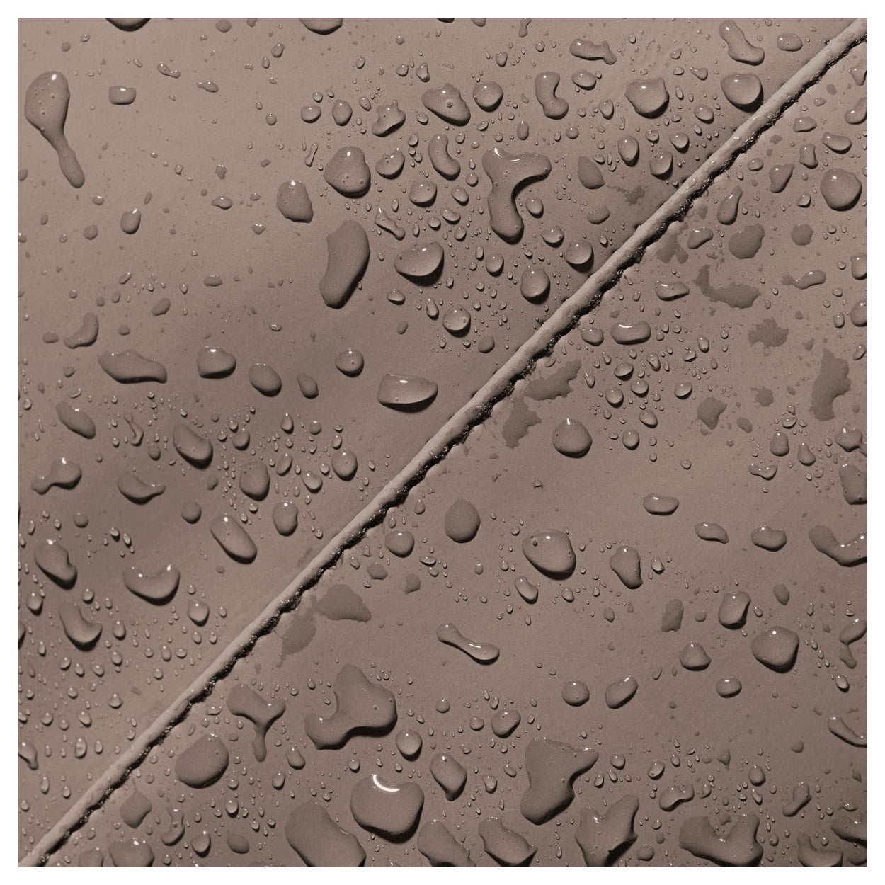 3645800050-09