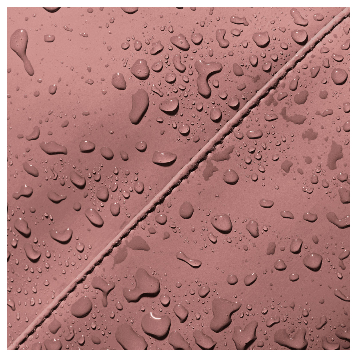 3649600210-09